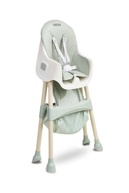 Bill is a light and economical 2in1 high chair. It has all the functionalities that make everyday feeding easier: adjustable double tray, 5-point belts, removable eco-leather upholstery, footrest, fabric basket, non-slip feet. The chair can be easily changed into a low chair by disassembling the lower part of the legs.